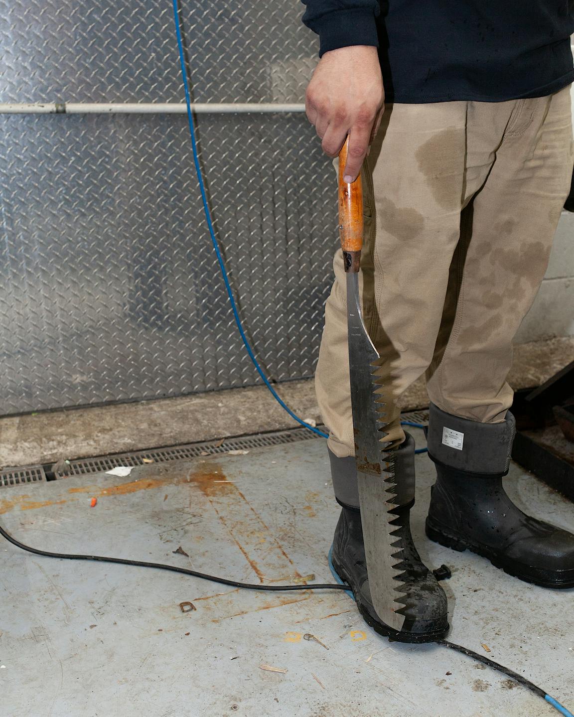 A person holds a large serrated tool for ice carving.